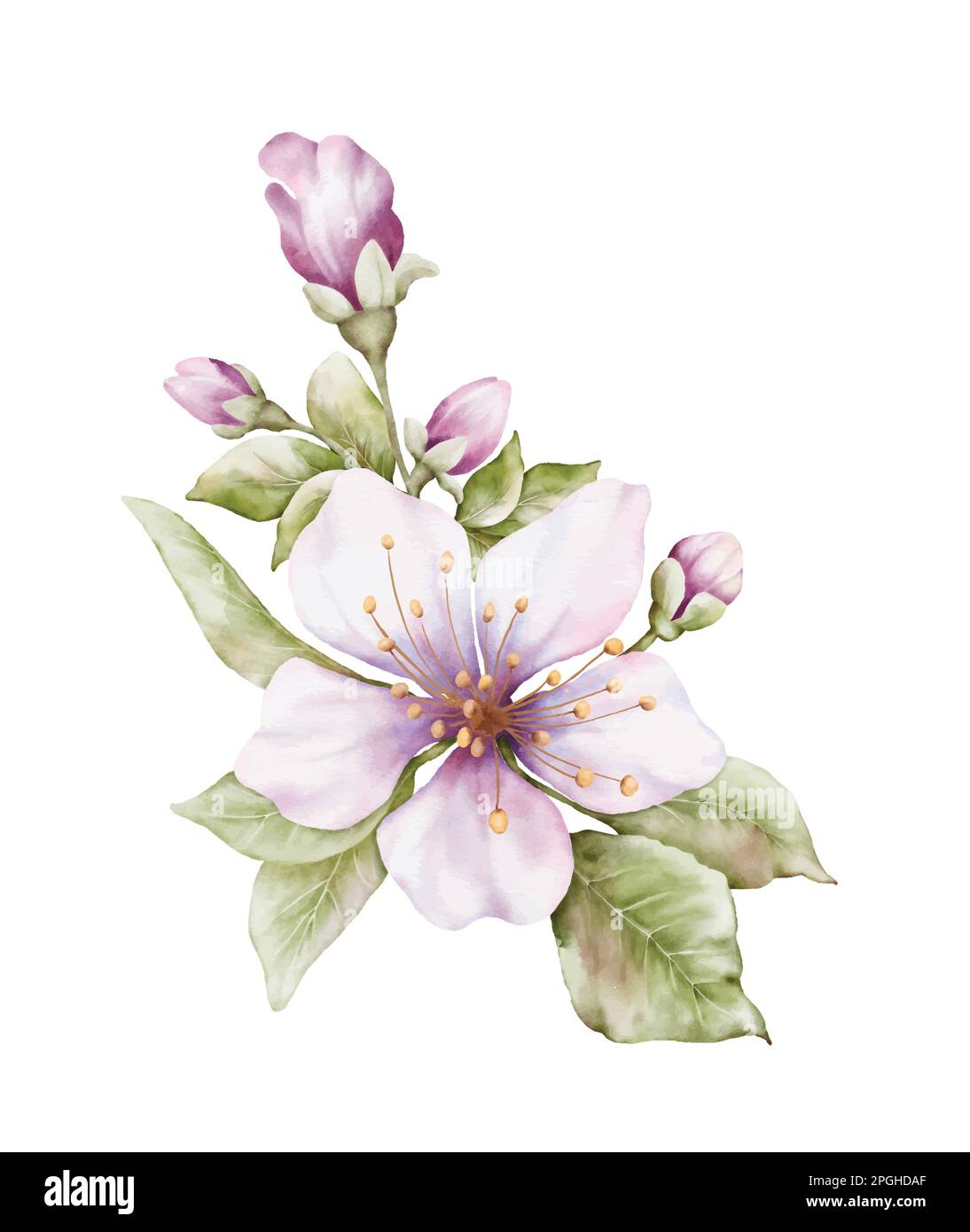 Wee Blue Coo Dankeskarte Mit Mohnblumen-Motiv – 12,5x17,5 Cm, 280 G/m² Karton, Mit Umschlag