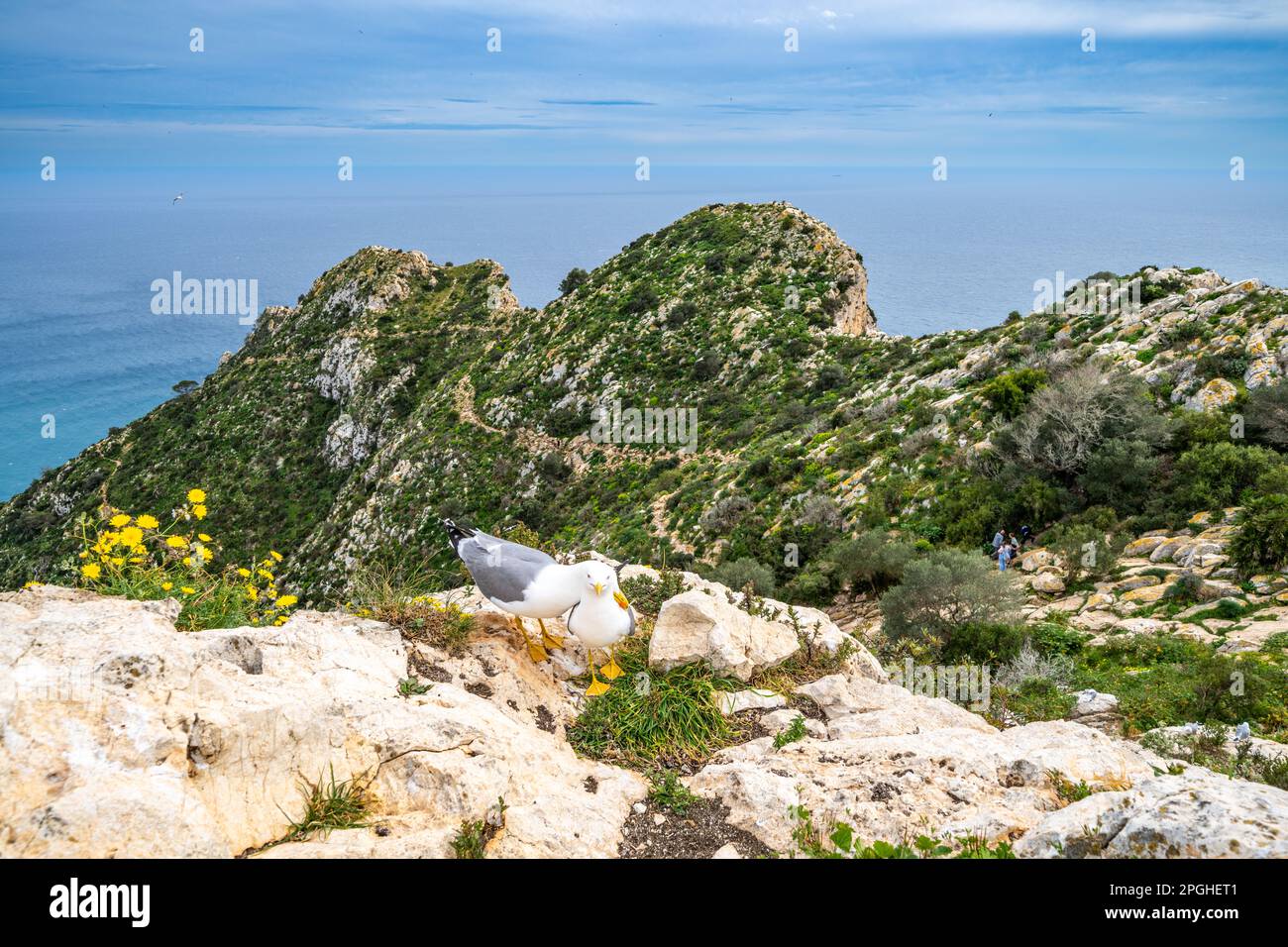 Wanderweg im Penyal d'IFAC-Nationalpark bei Calp, Spanien Stockfoto