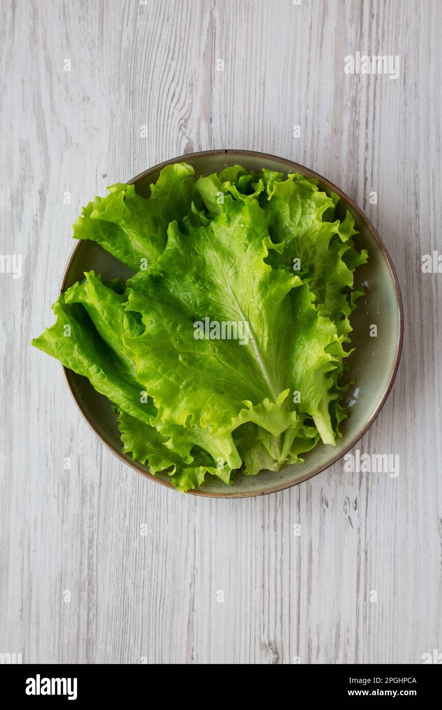 Roher grüner Blattsalat auf einem Teller, Draufsicht. Stockfoto