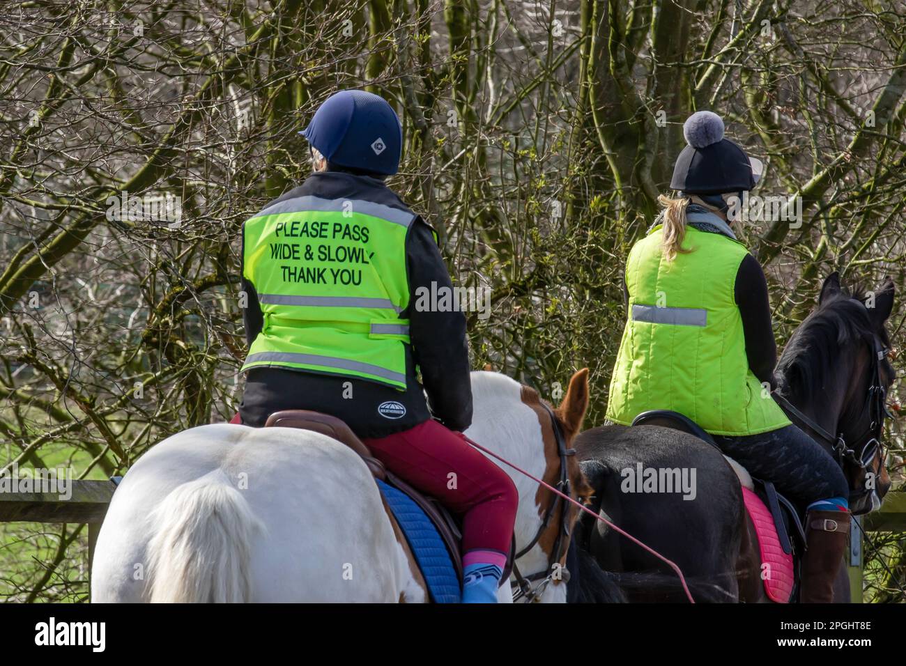 Frau, die mit Pferden auf der Landstraße unterwegs ist, trägt gelbe, gut sichtbare Tafeln mit „Bitte passen Sie weit und langsam, vielen Dank auf flourescent gilat. Stockfoto