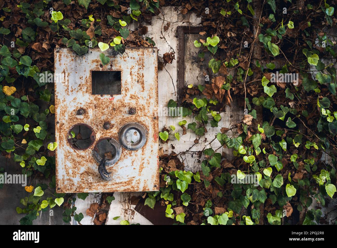 Innenräume und Maschinen, Anlagen, die sich in den Besitz einer stillgelegten, aufgegebenen Industrie zurückziehen, ehemalige Baumwollfabrik, industrielle Produktion Stockfoto