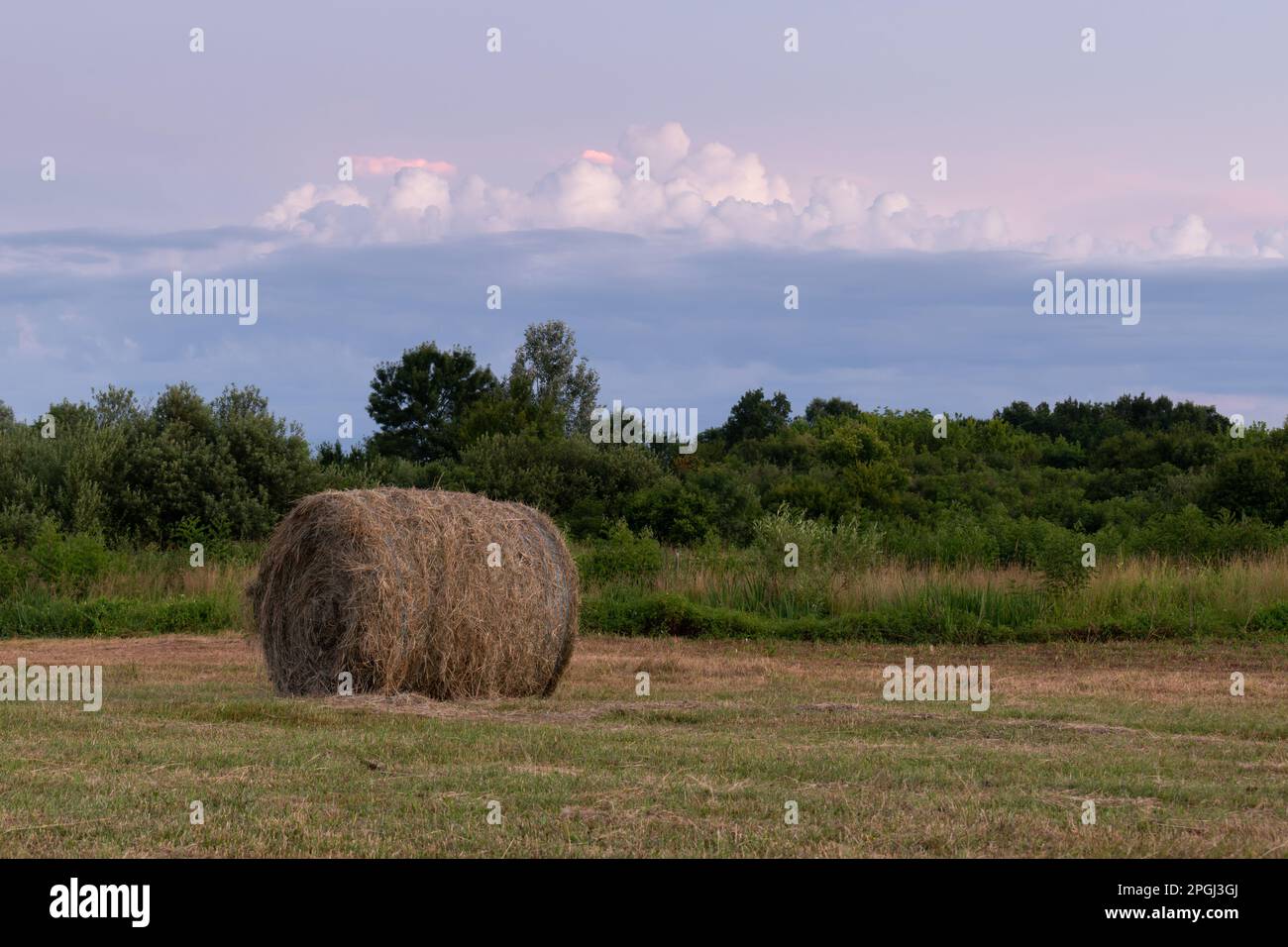 Heuballen im Feld bei Dämmerung, einzelner runder Heuballen auf flachem Feld und Sonnenschein in der Dämmerung, ruhige ländliche Landschaft Stockfoto