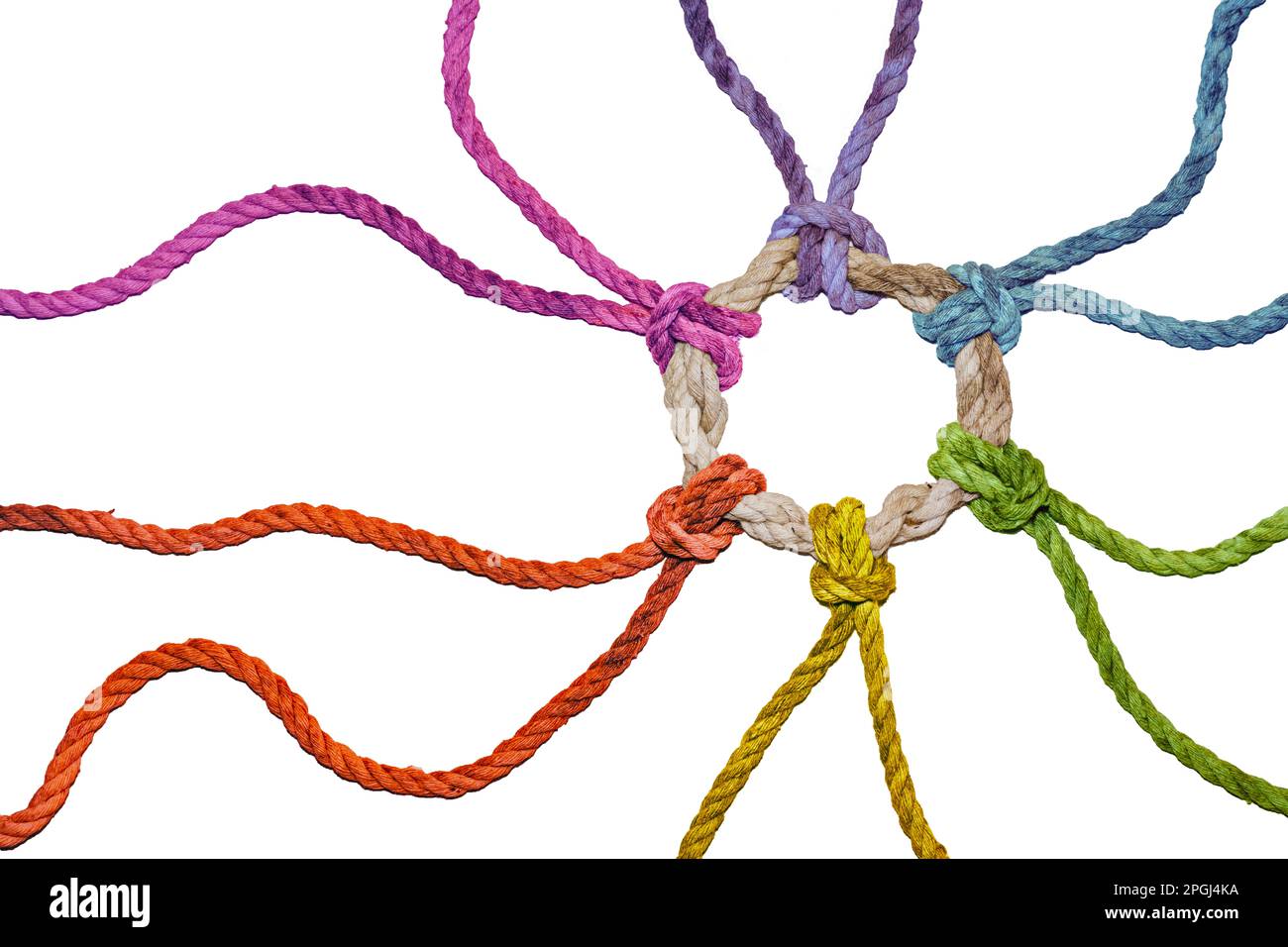 Rustikale Seile in Regenbogenfarben aus verschiedenen Richtungen vereinen sich in einem geknüpften Ring, Symbol für Vielfalt, Solidarität und Zusammenhalt, isoliert auf einem Stockfoto