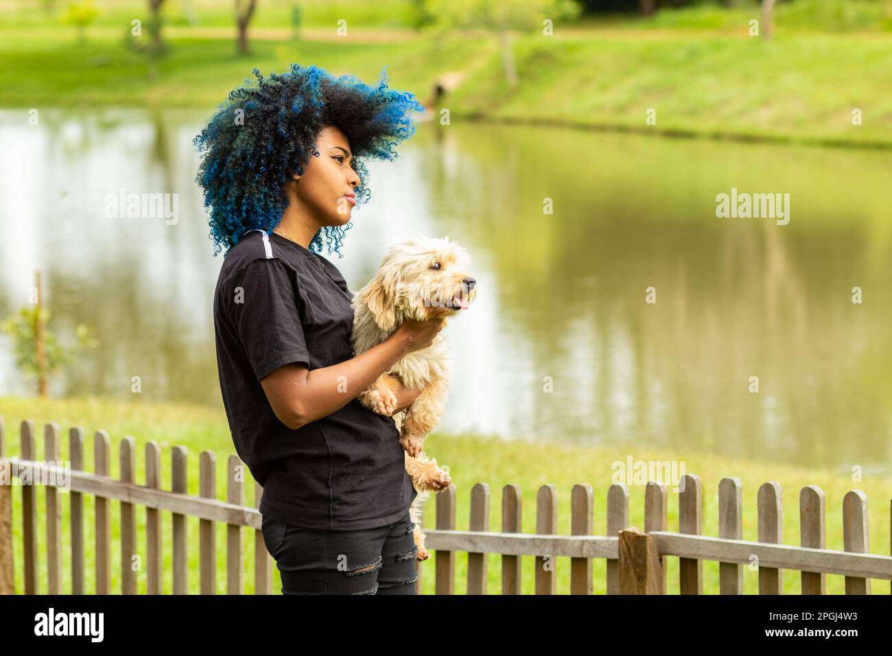 Goiania, Goias, Brasilien – 20. März 2023: Eine junge schwarze Frau mit gelocktem, blau gefärbtem Haar, die ihren Hund auf dem Schoß hält. Stockfoto