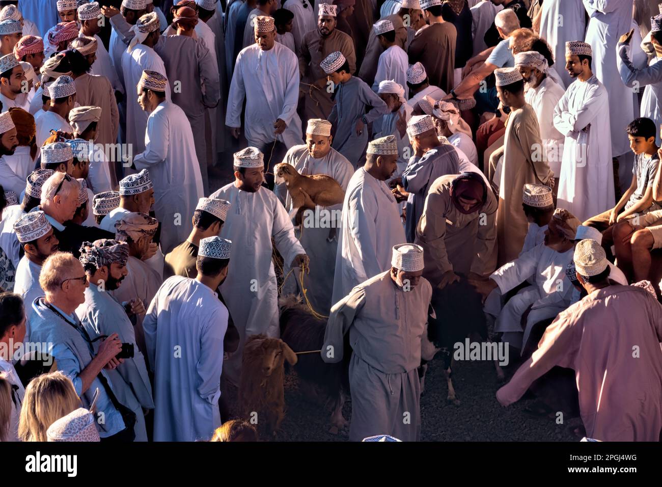 Szenen vom Freitagsziegenmarkt, Nizwa, Oman Stockfoto