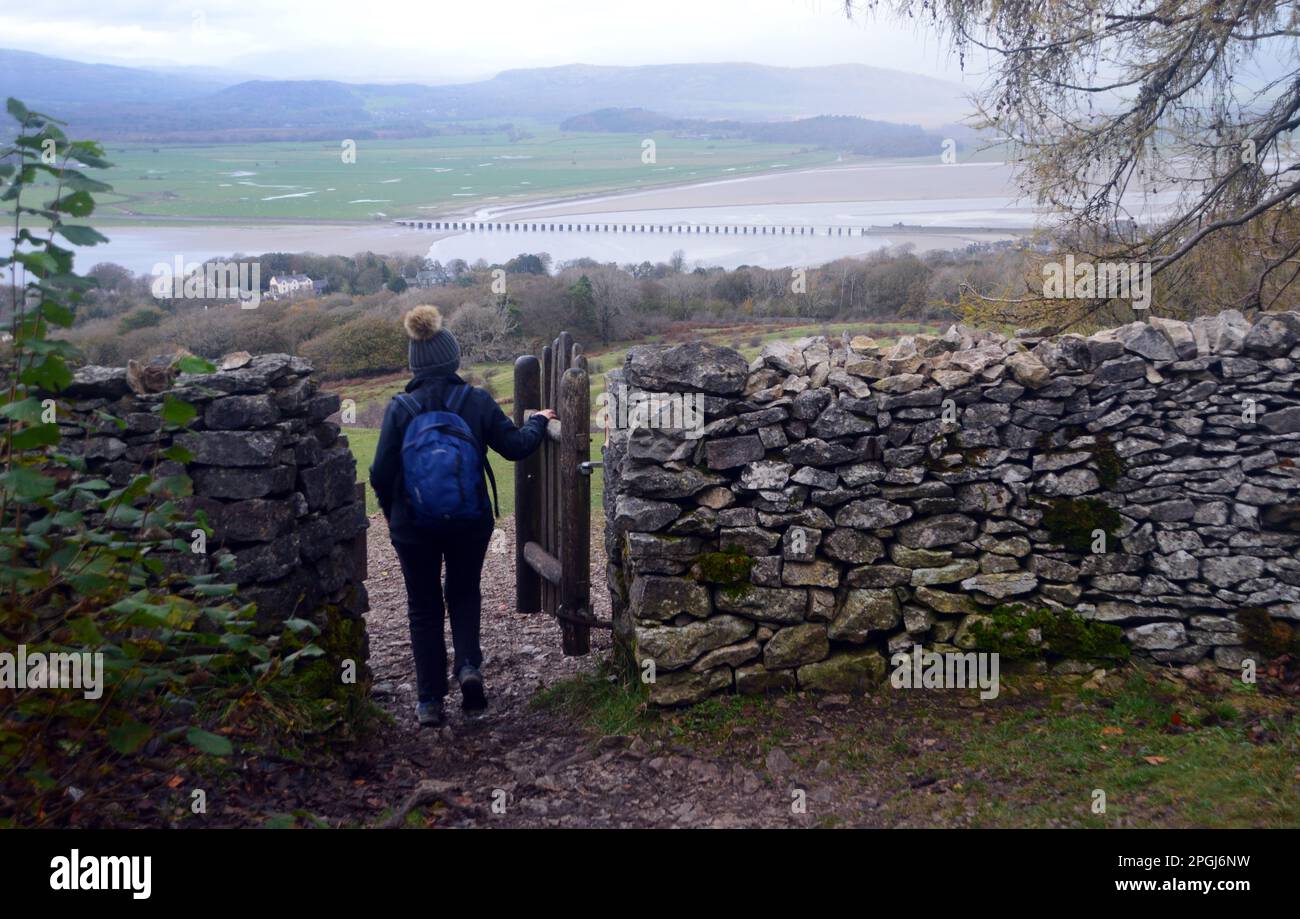 Einsame Frau, die durch das Holztor in Stone Wall geht und von Arnside Knott in Arnside, Cumbria, England, nach Red Hills Wood führt. Stockfoto