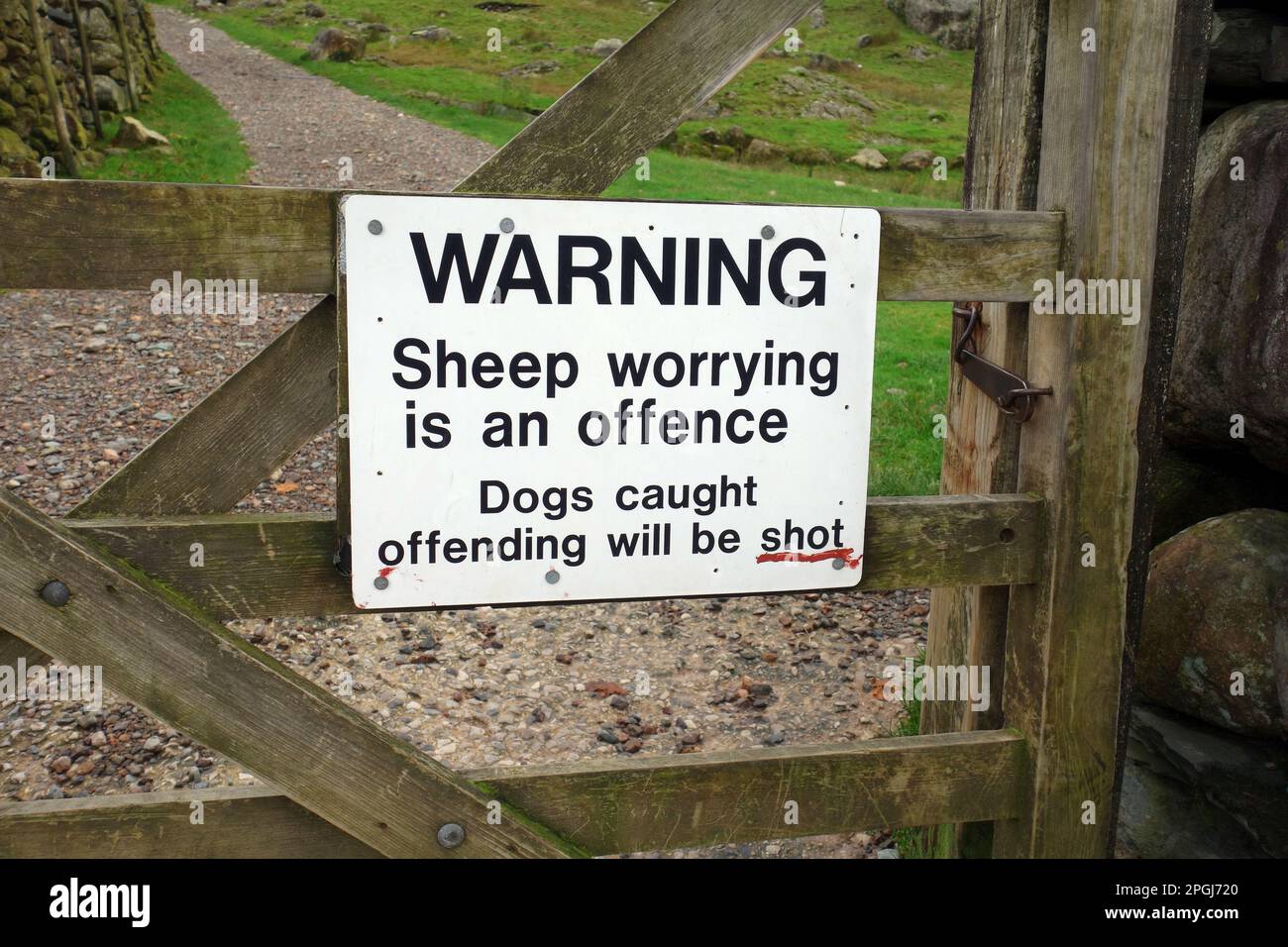 Warnschild am Wooden Gate (Dogs will be Shot) zum Farmers Field in Mickleden Valley, Lake District National Park, Cumbria, England, Großbritannien. Stockfoto
