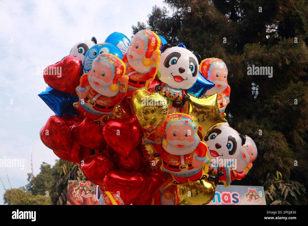 St. Francis Kirche in Dehradun, uttarakhand Indien. Weihnachten ist ein jährliches Festival zur Erinnerung an die Geburt von Jesus Christus, Mutter-Heirat-Statue. Stockfoto