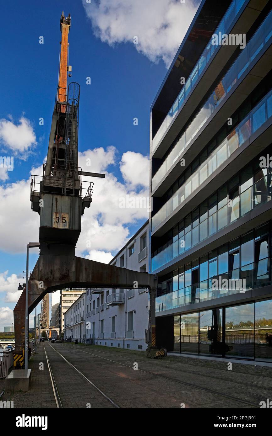 Hafenkranich im Medienhafen, Mediahafen, Deutschland, Nordrhein-Westfalen, Niederrhein, Düsseldorf Stockfoto