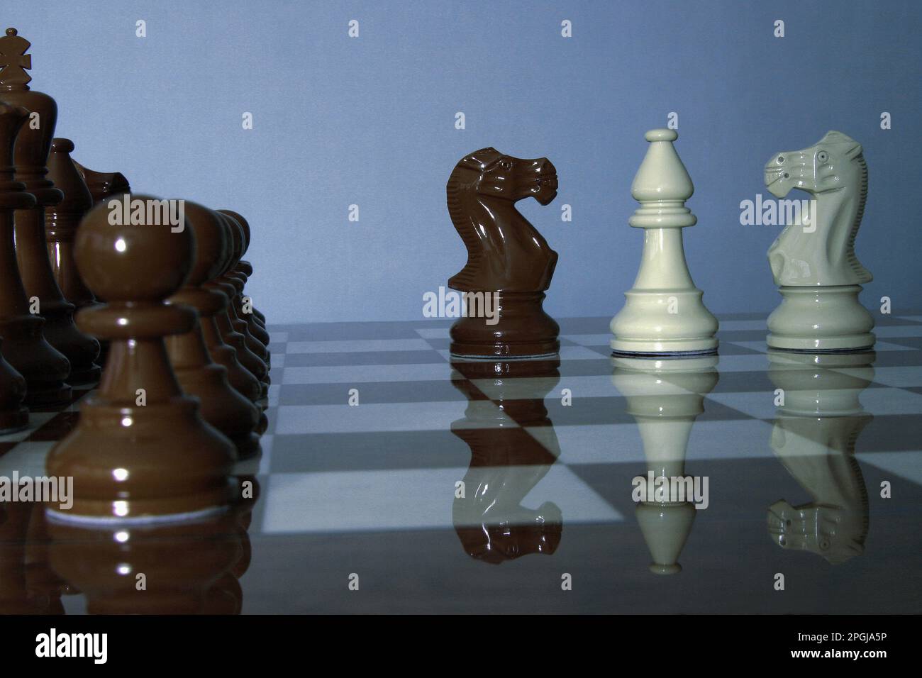 Schach, Ritter und Bischof Stockfoto