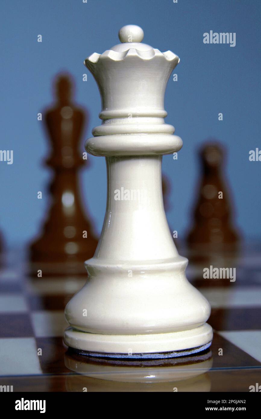 Schach, weißer König Stockfoto