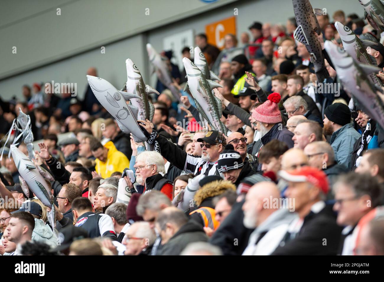 Grimsby-Fans mit ihren Harry-the-Haddock-Maskottchen vor dem Spiel Brighton und Hove Albion gegen Grimsby Town Emirates FA Cup Quarter Quarter im American Express Community Stadium, Brighton, 19. März 2023 Stockfoto