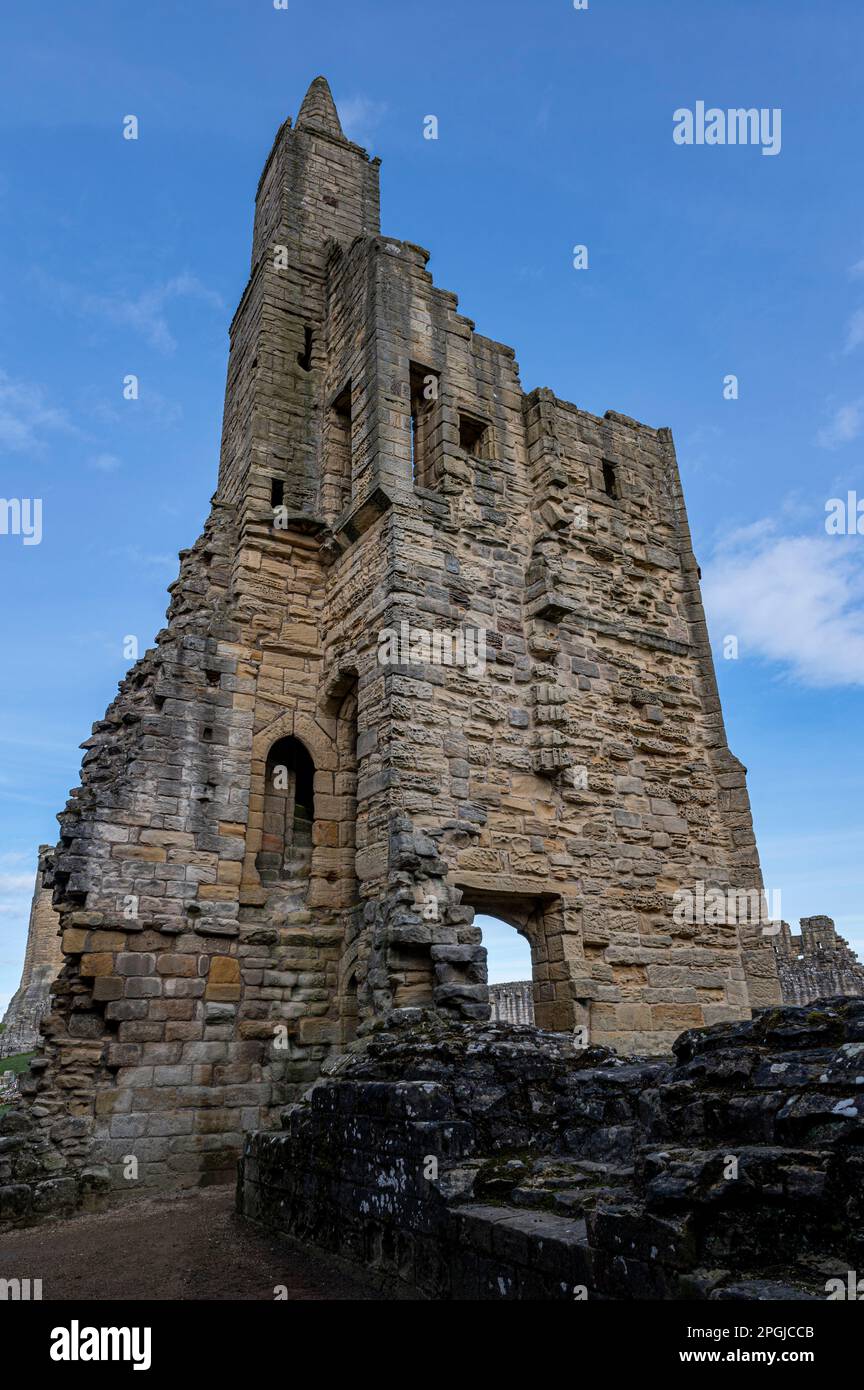 Warkworth Castle in Northumberland Stockfoto