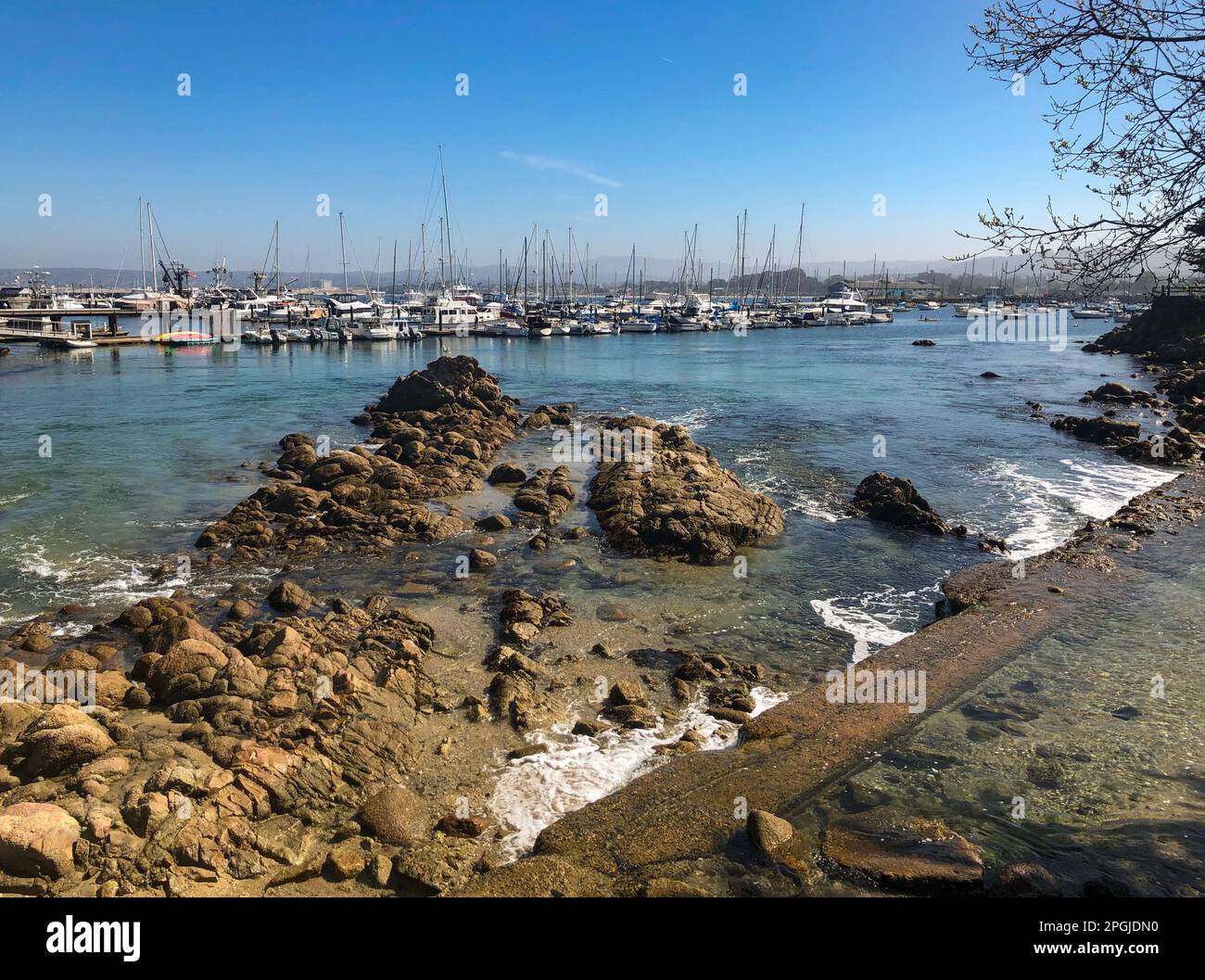 Lover's Point, Monterey Küste und Strand Stockfoto