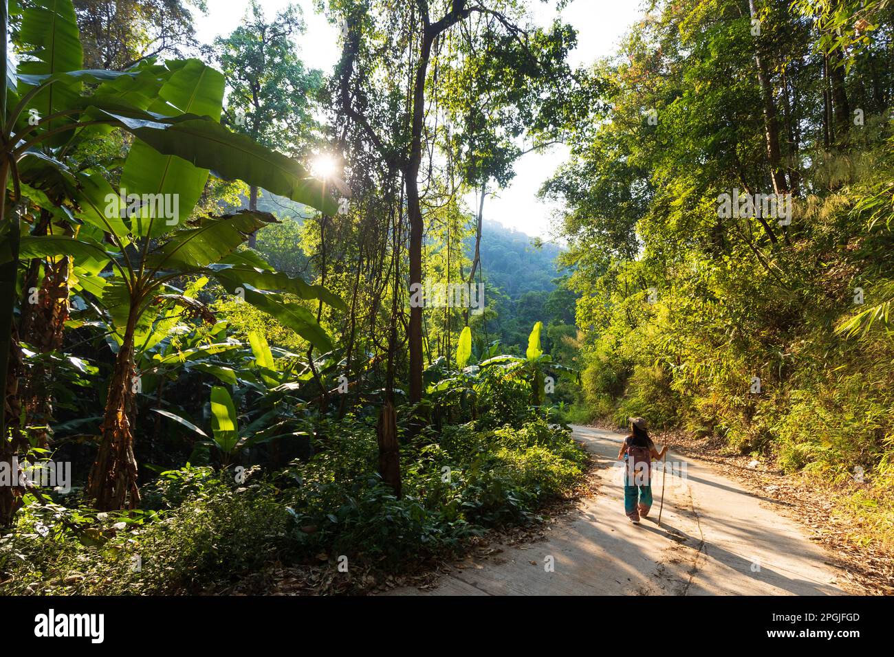 Eine Frau, die allein im Dschungel von Chiang Dao in Thailand reitet Stockfoto