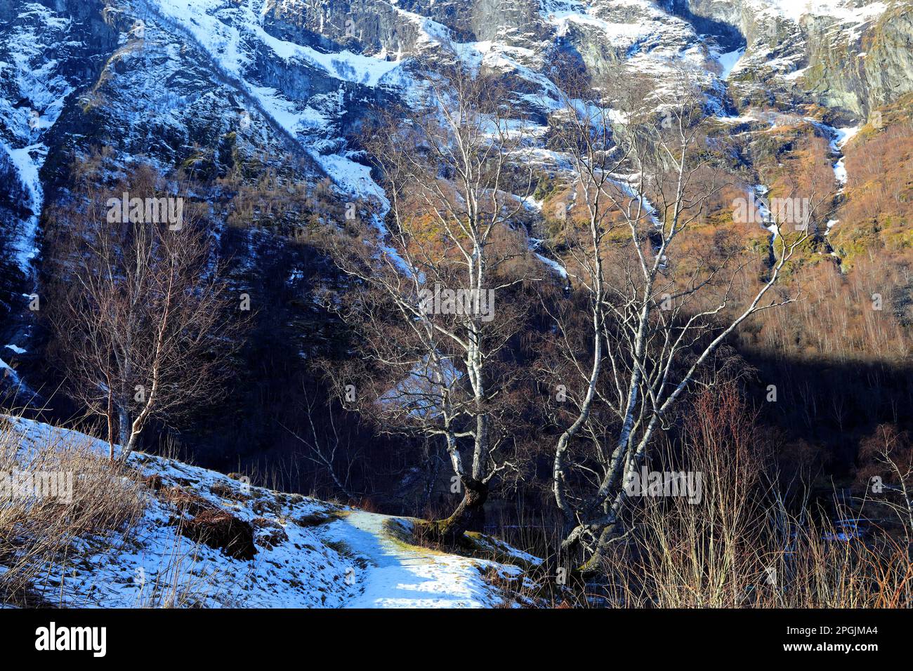Flåm-Norwegen Stockfoto
