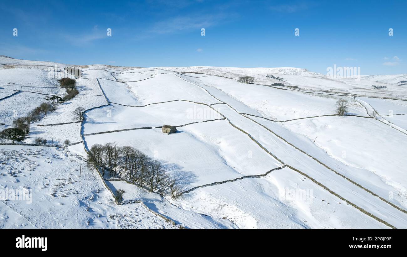 Wensleydale Ackerland bedeckt von einer Schneedecke. Yorkshire Dales National Park, Großbritannien. Stockfoto