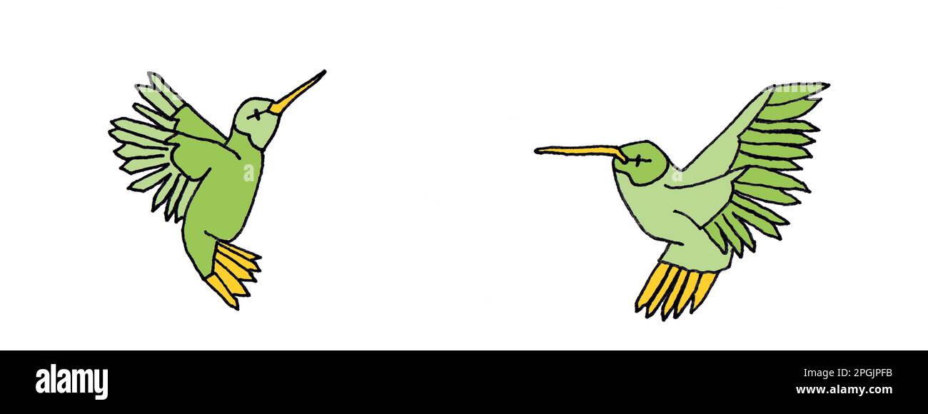 Abbildung von zwei Kolibris Stockfoto