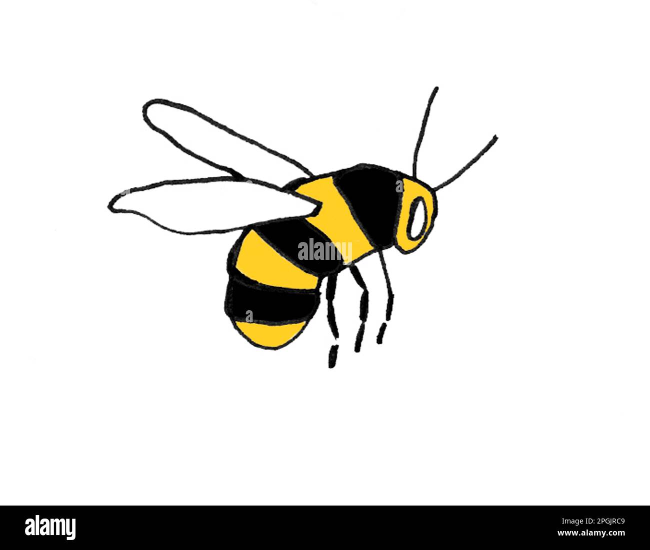 Abbildung einer Biene Stockfoto