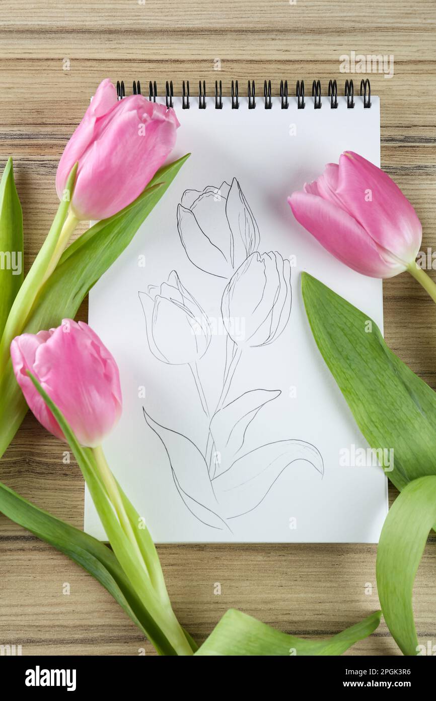 Tulpenskizze in Notizbuch und Blumen auf Holztisch, flach liegend Stockfoto