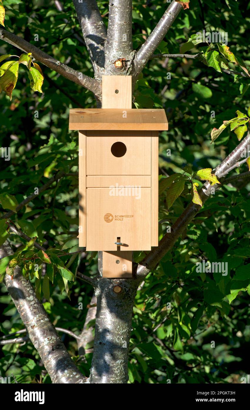 Nistbox für Tittenmäuse aus Schweizer Holz, Wallis, Schweiz Stockfoto