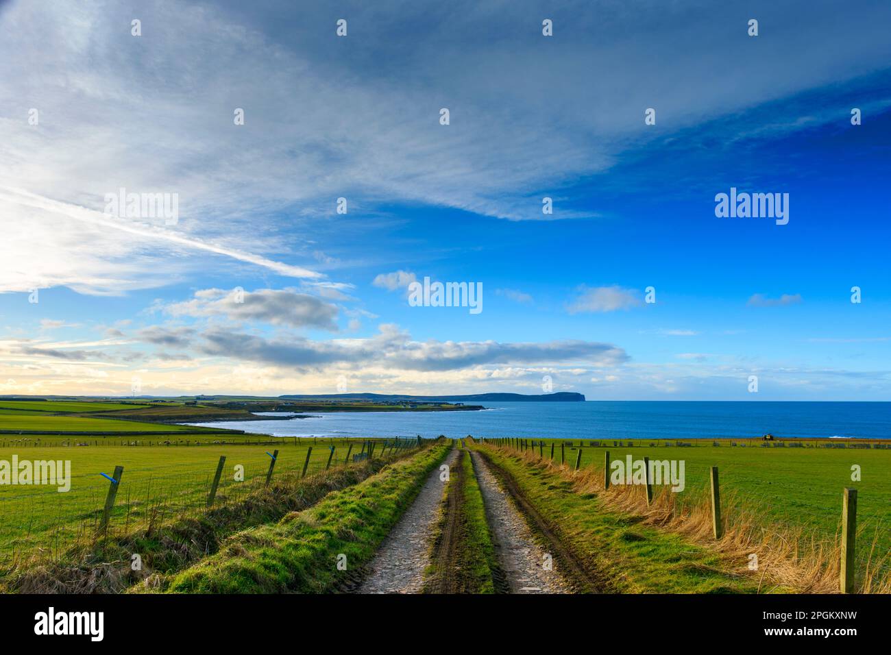 Dunnet Head aus einer Farm verfolgen in der Nähe der Ortschaft Mey auf den Norden von Caithness, Schottland, UK. Stockfoto