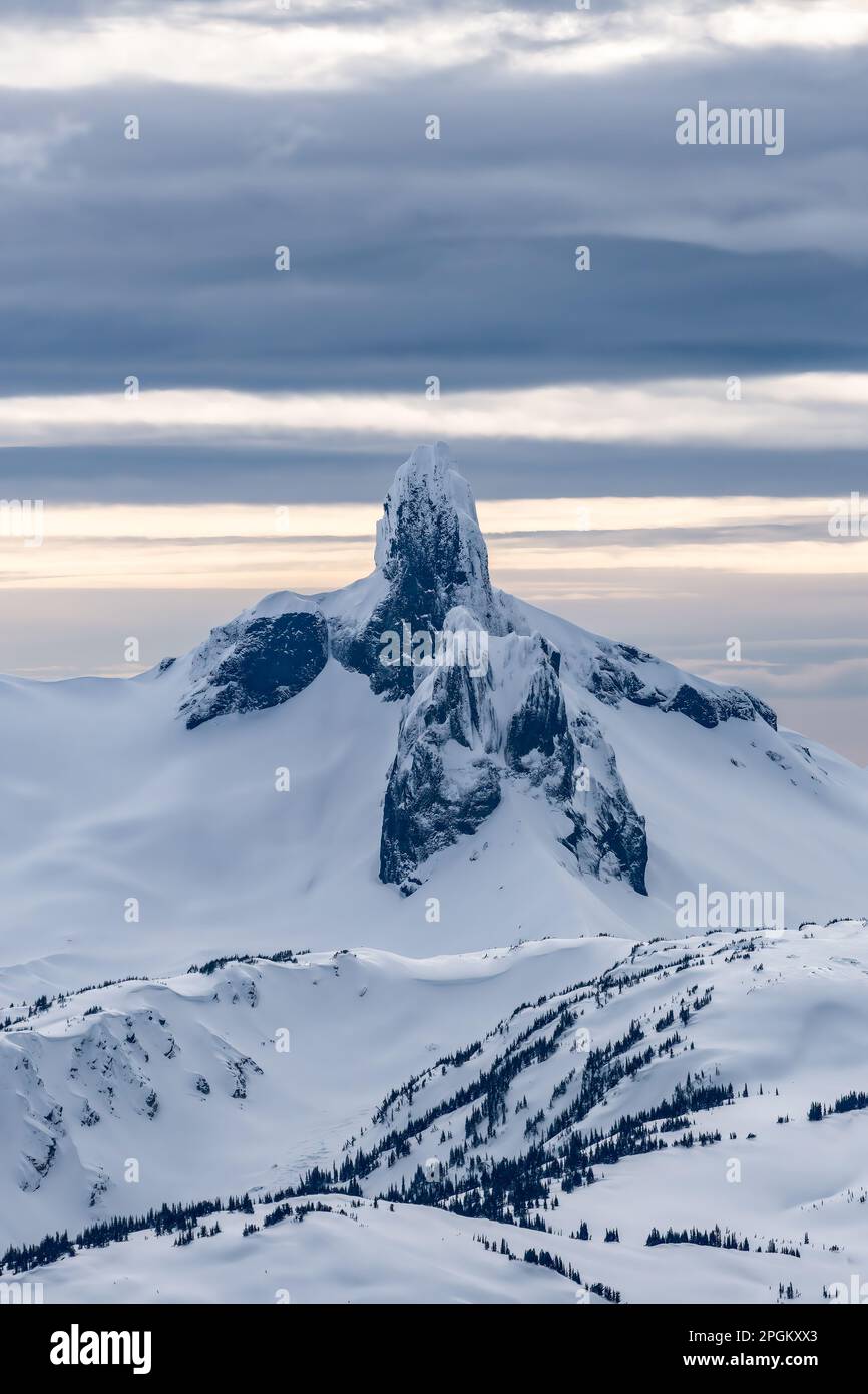 Schneebedeckte kanadische Naturlandschaft im Hintergrund. Schwarzer Lumb. Stockfoto