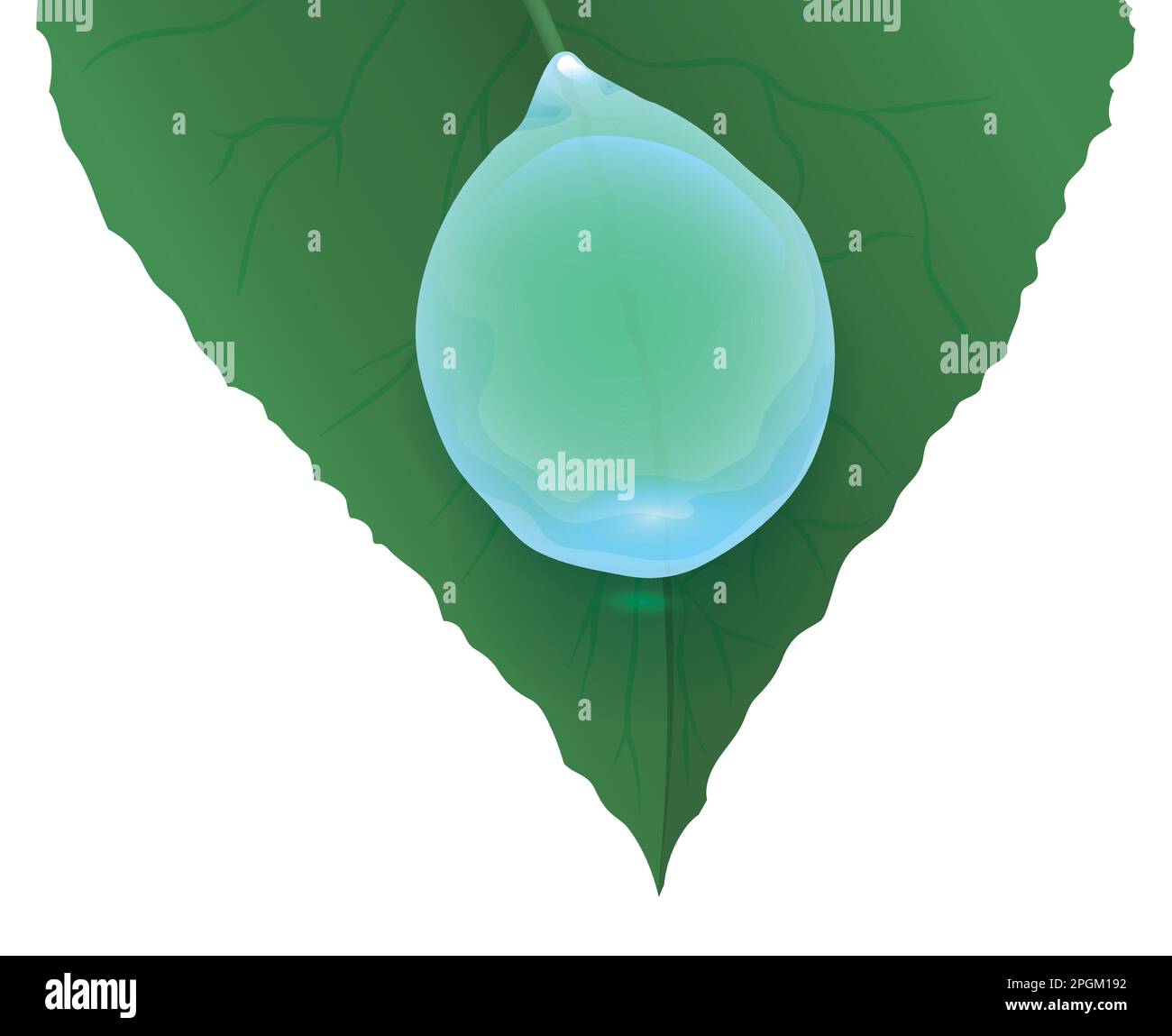 Nahaufnahme eines grünen Blatts und eines heruntergleitenden Tropfens. Design im Verlaufseffekt auf weißem Hintergrund. Stock Vektor