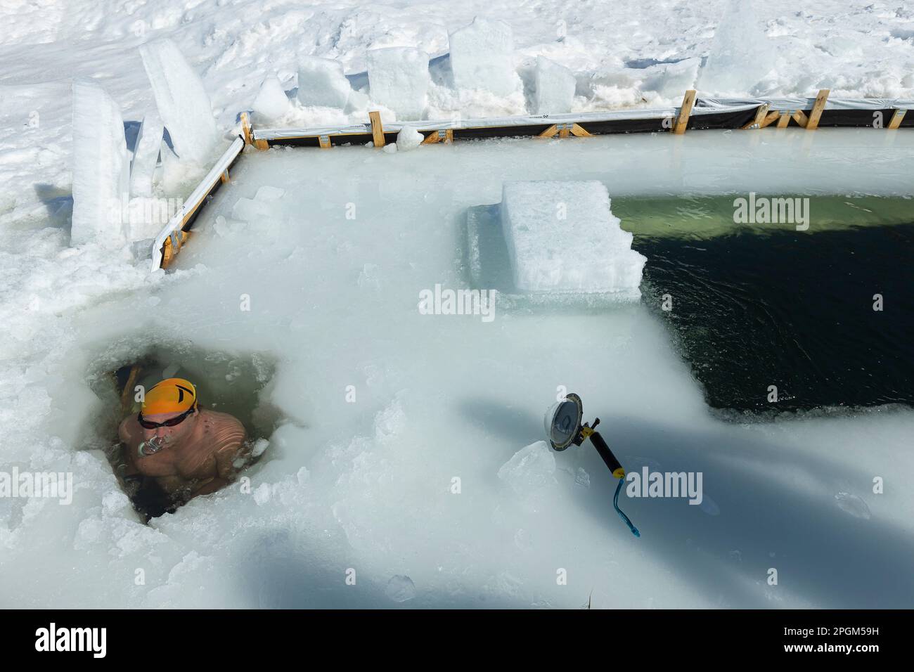 Nicolas Knap taucht aus einem Seitenloch auf, während er am 5. März 2023 in einem gefrorenen See südlich von Quebec City schwimmt. Stockfoto