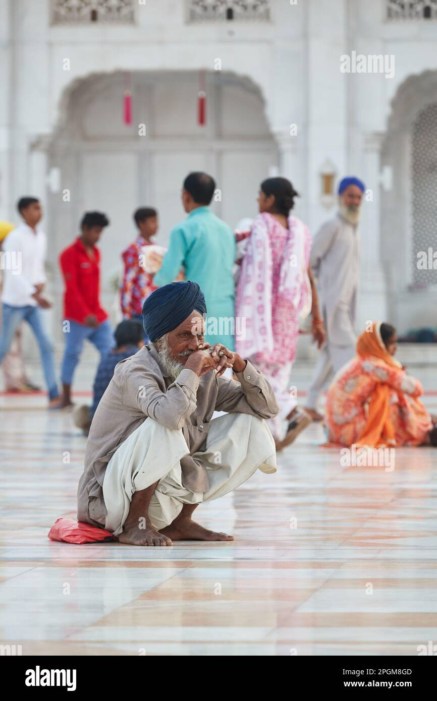 Amritsar, Punjab, Indien - ein älterer Sikh-Mann sitzt auf einem Marmorboden vor dem Goldenen Tempelgelände Stockfoto