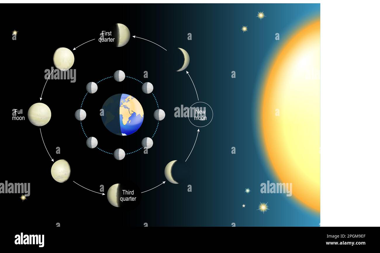 Mondphase. Die Mondphasen hängen von der Position des Mondes in der Umlaufbahn um die Erde und die Sonne ab. Bewegungen des Mondes. 8 Mondphasen. Realistisch Stock Vektor