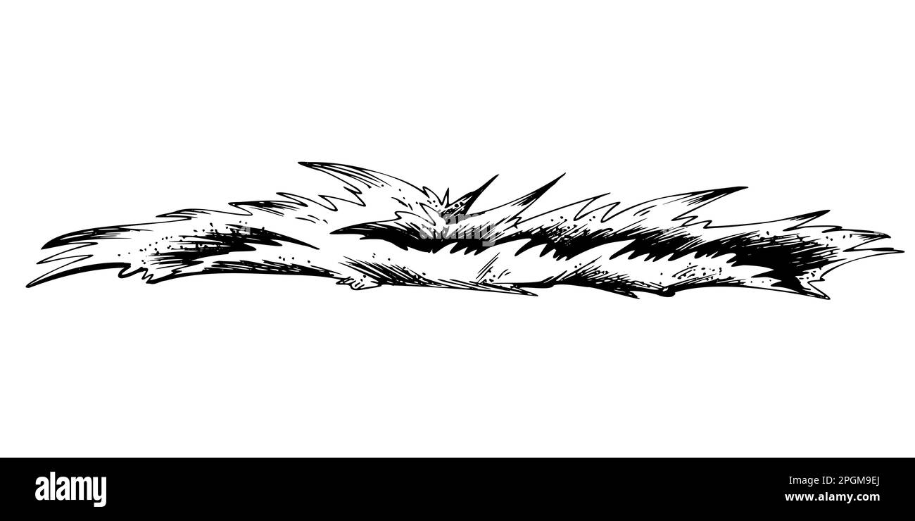 Gras, Rasen. Handgezeichnete Schwarz-Weiß-Illustration in der Grafiktechnik. Isolierte Vektorobjekte aus DER NAUTISCHEN GRAFIKSAMMLUNG. Für Stock Vektor