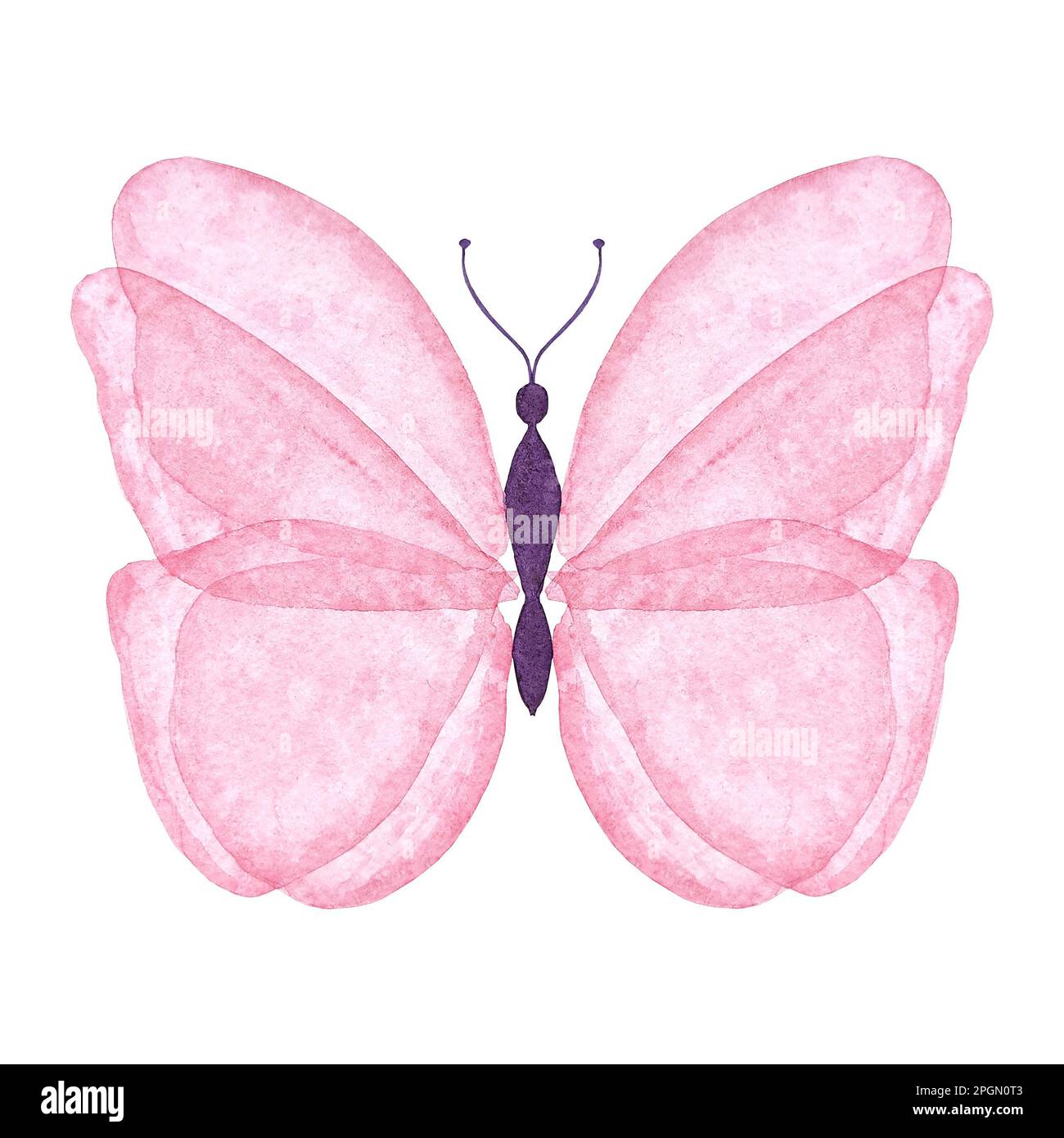 Aquarellrosa Schmetterling, isolierte Illustration. Handbemalte Insekten im botanischen Stil auf weißem Hintergrund zur Verwendung bei Hochzeit, Urlaub, Kinderdesign Stockfoto