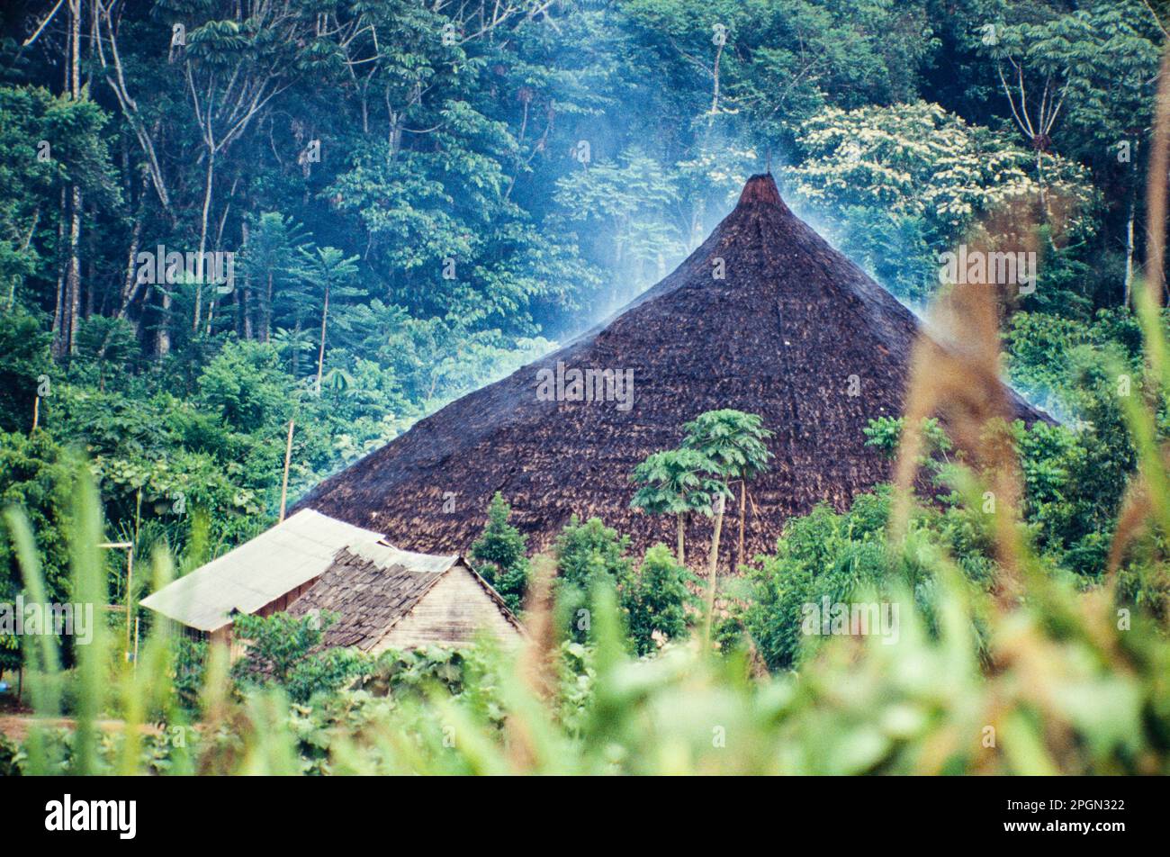 Yanomami maloca, ein altes langes Haus, das von Ureinwohnern des Amazonas genutzt wird. Jede Gemeinde hat eine einzige Maloca mit ihren eigenen einzigartigen Eigenschaften. Mehrere Familien mit patrilinealen Beziehungen leben zusammen in einer Maloca, verteilt im Langhaus in verschiedenen Abteilungen. Bundesstaat Roraima, Brasilien. Stockfoto