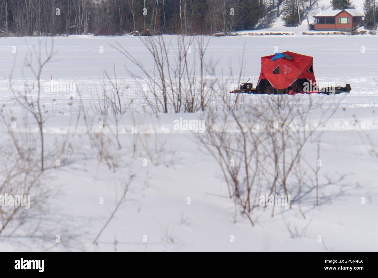 Einzelnes rotes Pop-up-Eis-Angelzelt auf gefrorenem See Stockfoto