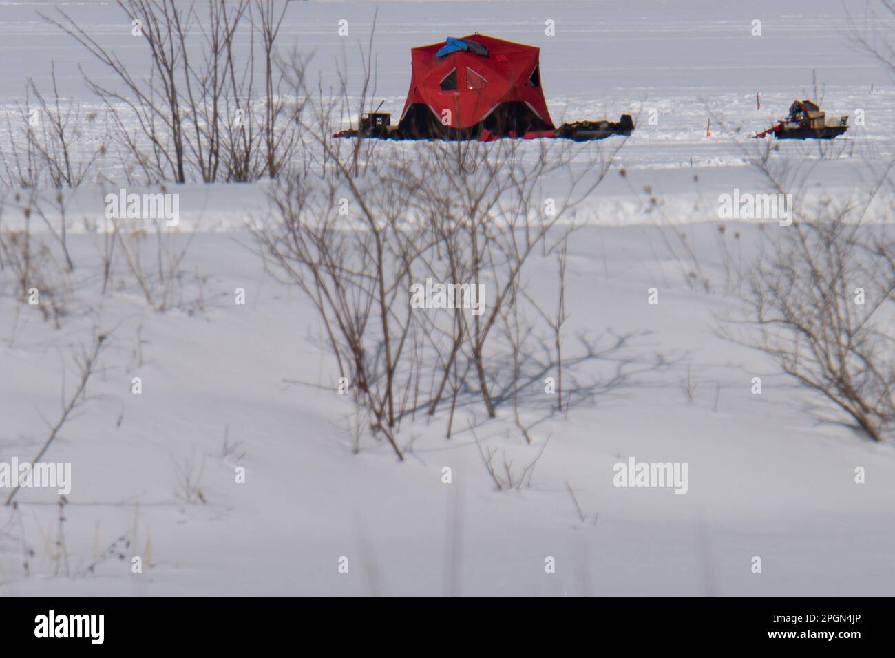 Einzelnes rotes Pop-up-Eis-Angelzelt auf gefrorenem See Stockfoto