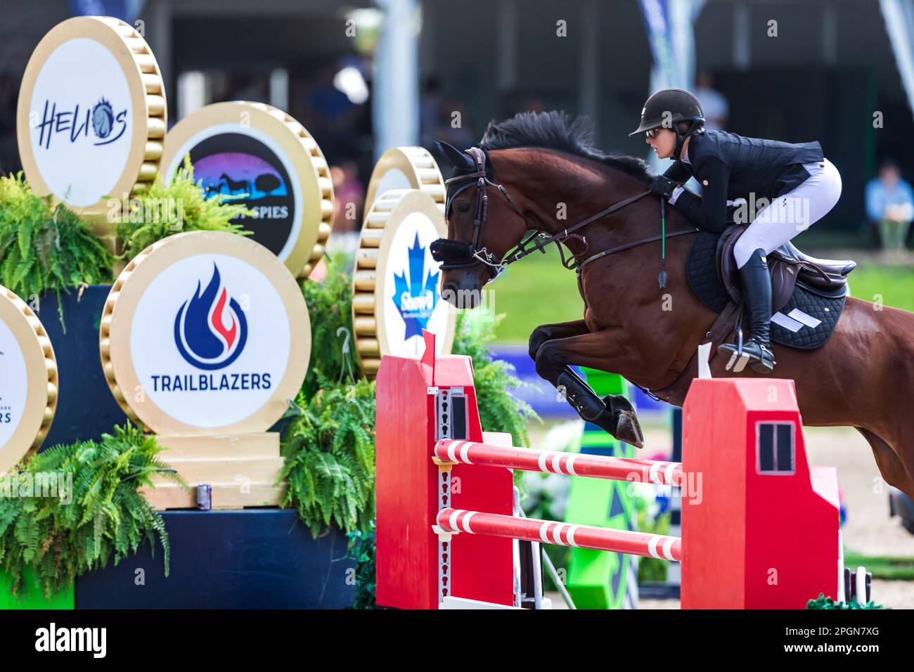 EllaH Dubeau-Kielty, ein junger kanadischer Profi-Fahrer, tritt 2022 bei den Angelstone Turnieren beim Major League Show Jumping an. Stockfoto