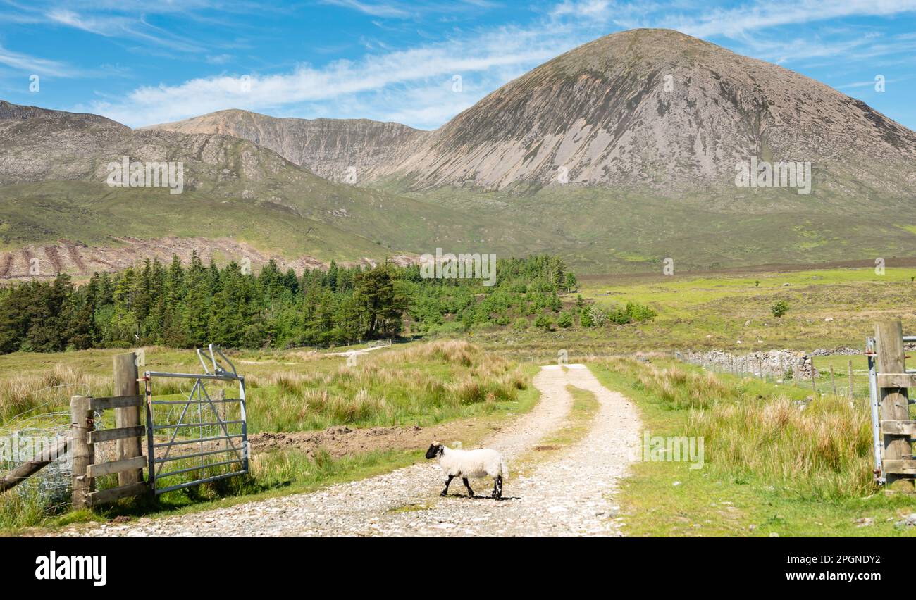 Scotland Isle of Skye Red Cullins von Loch Cill Chriosd Stockfoto