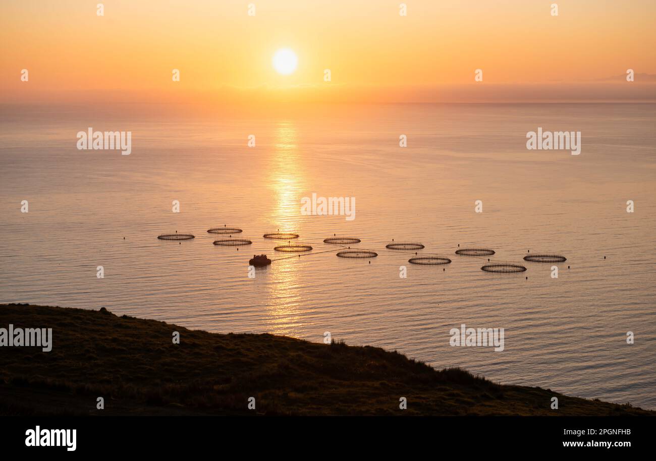 Schottische Isle of Skye – Lachszucht bei Sonnenaufgang Stockfoto