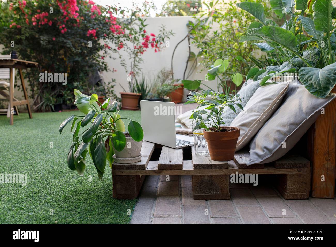 Arbeitsraum mit Topfpflanzen im Garten Stockfoto