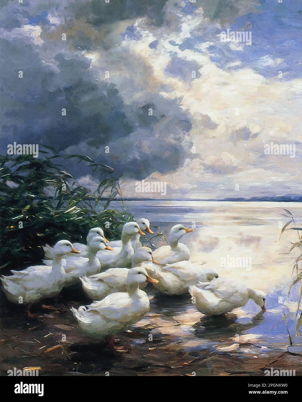 Koester Alexander - Enten am Morgen - Deutsche Schule - 19. Jahrhundert - Koester Alexander - Enten am Morgen - Deutsche Schule - 19. Jahrhundert Stockfoto