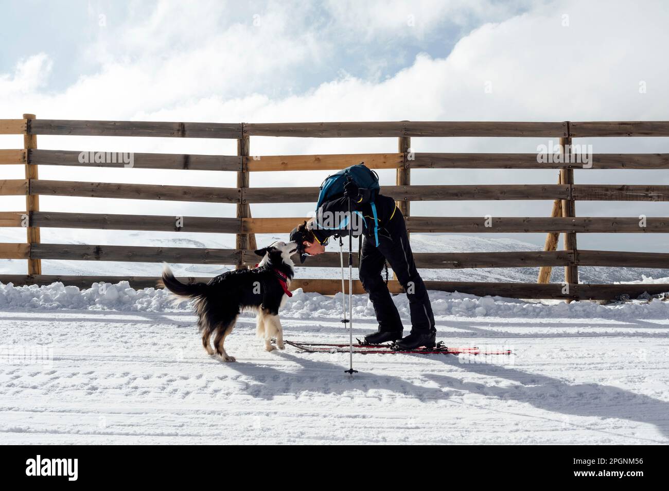 Ein Mann, der im Winter an sonnigen Tagen mit einem Hund im Urlaub spielt Stockfoto