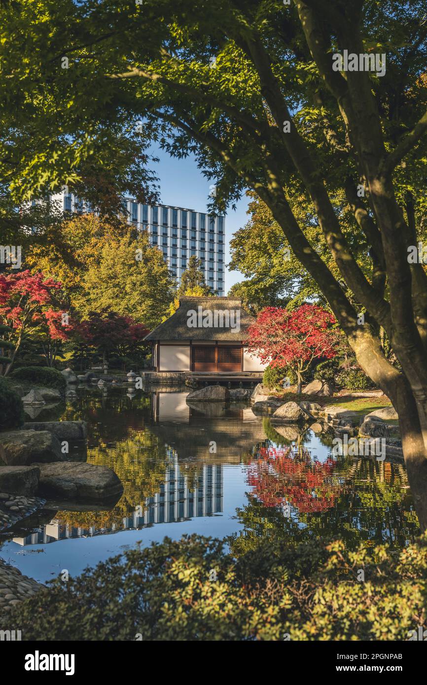 Deutschland, Hamburg, Pond und japanisches Teehaus im Planten un Blomen  Park Stockfotografie - Alamy