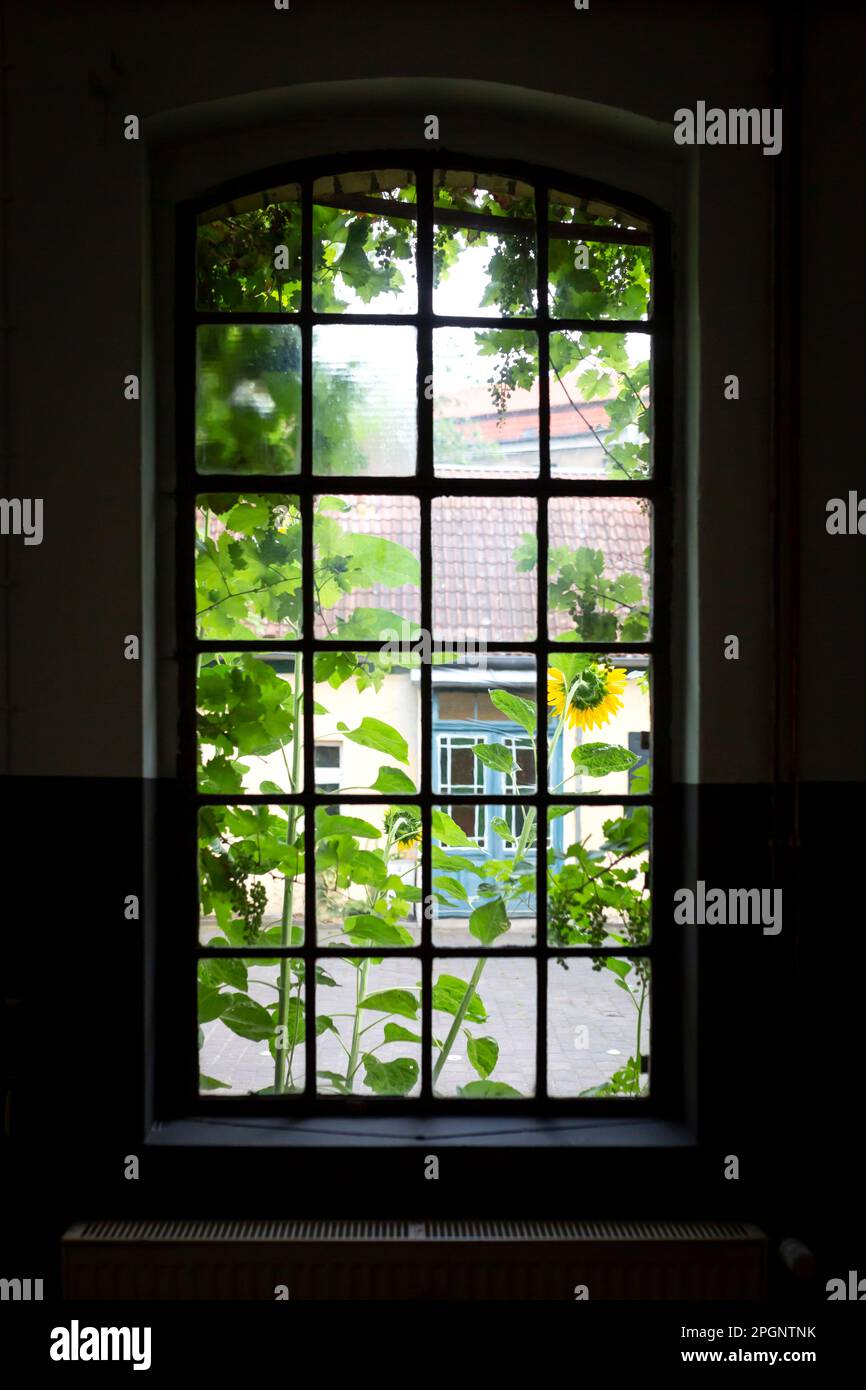 Deutschland, Brandenburg, Potsdam, Gebäude im Sommer durch Fensterfenster gesehen Stockfoto