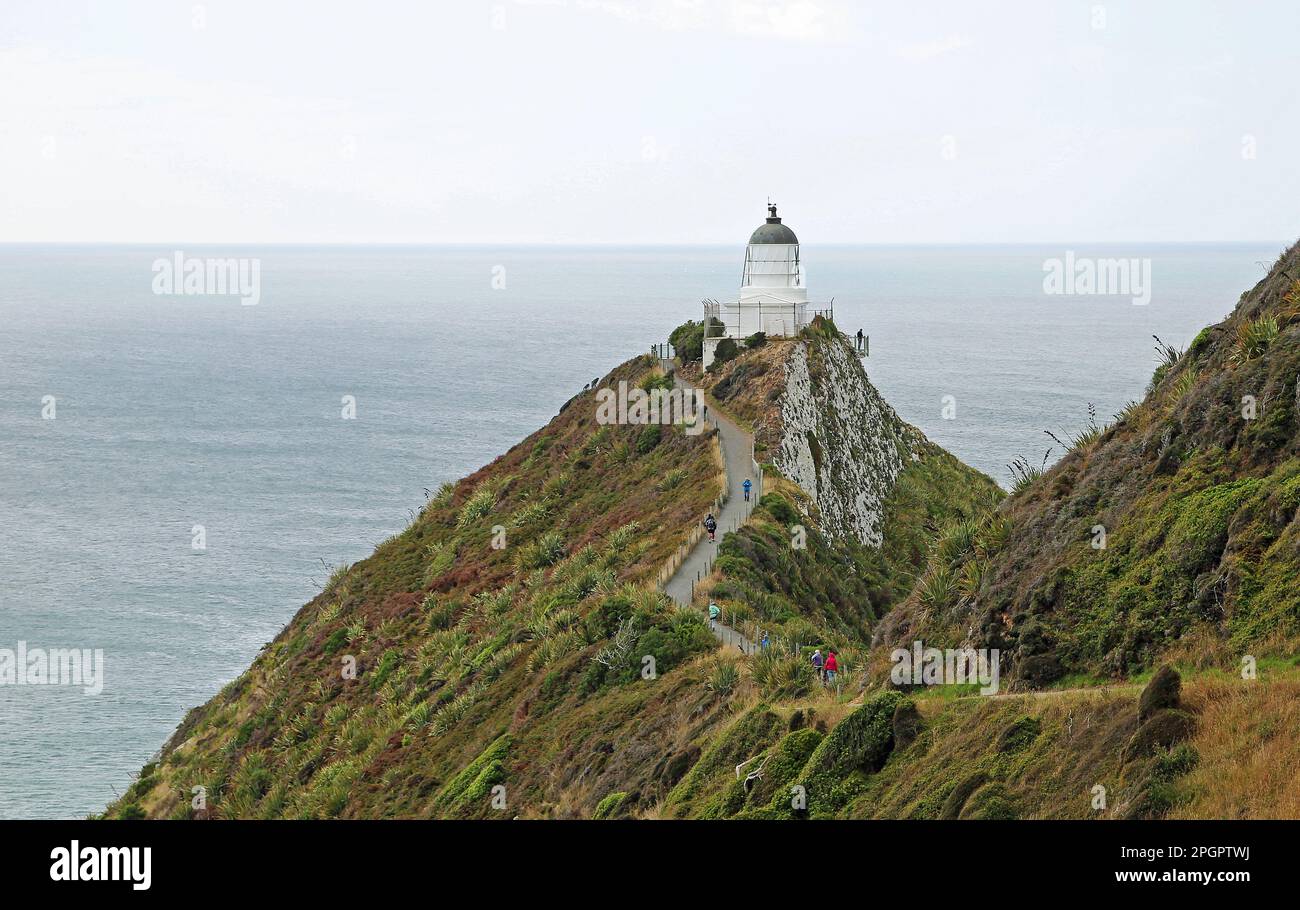 Weg zum Nugget Point - Neuseeland Stockfoto