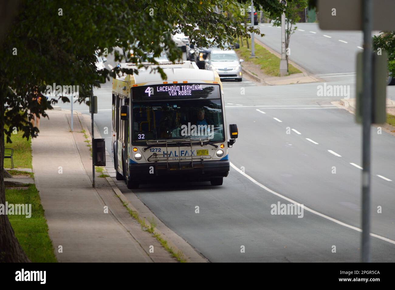 Halifax Transit Bus, Route '4 Universities', in der Busspur auf der Robie Street in Nova Scotia, Kanada Stockfoto