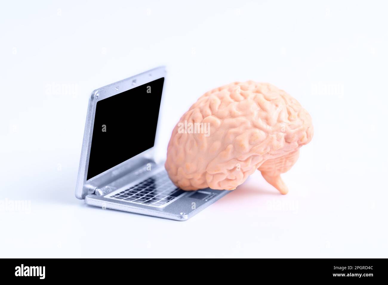 Miniaturreplikat eines Laptops, das von einem anatomischen Modell eines menschlichen Gehirns verwendet wird. Künstliche Intelligenz und maschinelles Lernen. Stockfoto