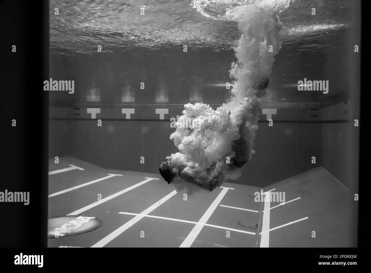 Minneapolis, Minnesota, USA. 23. März 2023. Unterwasserblick auf den Tauchbrunnen der NCAA Männer Swimming and Diving Championships 2023 in Minneapolis (Kreditbild: © Steven Garcia/ZUMA Press Wire) NUR REDAKTIONELLE VERWENDUNG! Nicht für den kommerziellen GEBRAUCH! Stockfoto