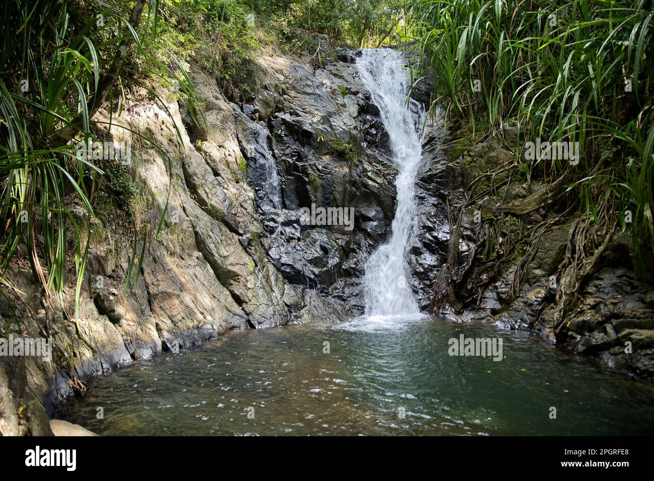 Nahaufnahme des Nakalitkalit-Wasserfalls in El Nido, Palawan auf den Philippinen, der über schwarze Felsen in ein von Regenwald umgebenes Wasserbecken fließt. Stockfoto