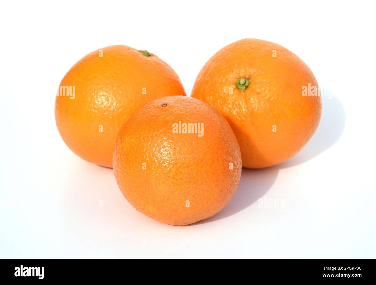 Orangenbaum, Citrus sinensis, ist eine exotische Frucht, die auch als Duftgeber verwendet wird. Orange, Baum, Citrus sinensis, ist ein Exot Stockfoto
